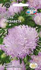 Семена Астра Лизавета художественная серебр-розовая цв/п 0,2 г СеДеК
