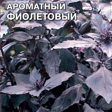 Семена Базилик Фиолетовый 0,2 г ДУ СеДеК