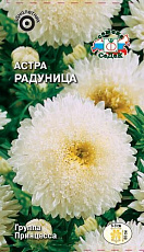 Семена Астра Радуница китайская белая с розовым цв/п 0,2 г СеДеК