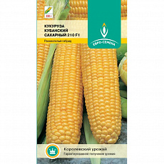 Семена Кукуруза Кубанский Сахарный 210 сахарная цв/п 5 г ЕС